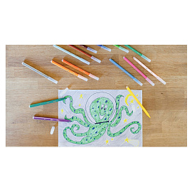 Фломастеры Bic Visa 12 цветов с вентилируемыми колпачками смываемые