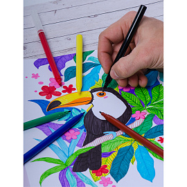 Фломастеры Berlingo "Замки", 06цв., смываемые, картон, европодвес фото Фломастеры Berlingo "Замки", 06цв., смываемые, картон, европодвес