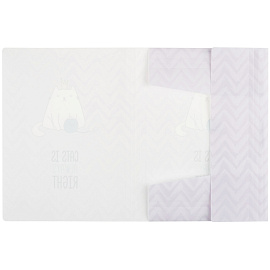 Папка на резинке MESHU "Right cat" А4, 500мкм