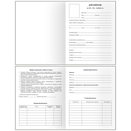 Дневник 1-11 кл. 48л. (твердый) BG "Опыты", soft-touch ламинация