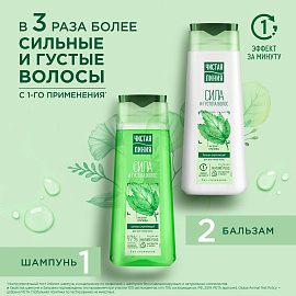 Шампунь Чистая линия Крапива укрепляющий 250 мл