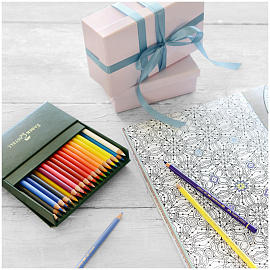 Карандаши цветные художественные Faber-Castell "Polychromos", 36цв., заточен., студийная коробка фото Карандаши цветные художественные Faber-Castell "Polychromos", 36цв., заточен., студийная коробка