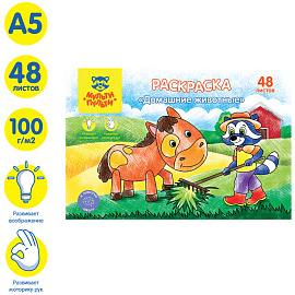 Раскраска в папке А5, 48 л. Мульти-Пульти "Домашние животные
