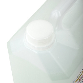 Мыло-пена для специальных диспенсеров 5 л ЗОЛОТОЙ ИДЕАЛ "Цветочное", 605908 фото Мыло-пена для специальных диспенсеров 5 л ЗОЛОТОЙ ИДЕАЛ "Цветочное", 605908