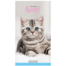 Блокнот А6 24л. на скрепке ArtSpace "Домашние любимцы. Микс фото Блокнот А6 24л. на скрепке ArtSpace "Домашние любимцы. Микс