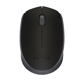 Мышь беспроводная Logitech M171 черная (910-004643/910-004424)