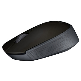 Мышь беспроводная Logitech M171 черная (910-004643/910-004424)