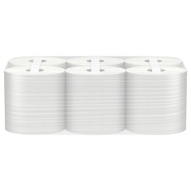 Полотенца бумажные рулонные Veiro Professional Basic M2 1-слойные серые 6 рулонов по 300 метров (KP105)