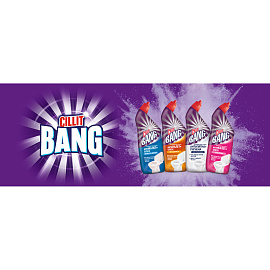 Средство для сантехники чистящее Cillit Bang 0.45 л для уборки туалета