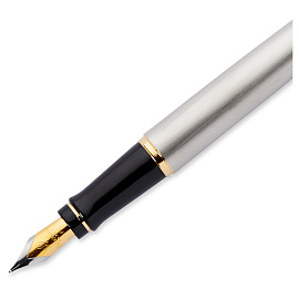 Ручка перьевая Waterman Expert цвет чернил синий цвет корпуса серебристый с позолотой (артикул производителя S0951940)