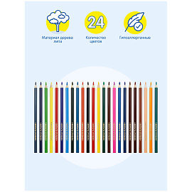 Карандаши акварельные Мульти-Пульти "Невероятные приключения", 24цв., трехгран., заточен., картон, европодвес