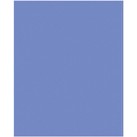 Тетрадь предметная 48л. BG "Перфокарта" - Биология, пластиковая обложка