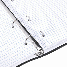 Тетрадь на кольцах А5 175х215 мм, 120 листов, твердый картон, клетка, BRAUBERG, "Anime Manga", 404715