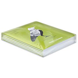 Тетрадь предметная 48л. BG "Угадай кто" - Обществознание, матовая ламинация, выб. лак