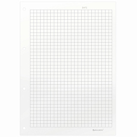 Сменный блок для тетради на кольцах А5, 60 л., BRAUBERG, EXTRA ПЛОТНЫЙ 100 г/м2, клетка, белый, 405017