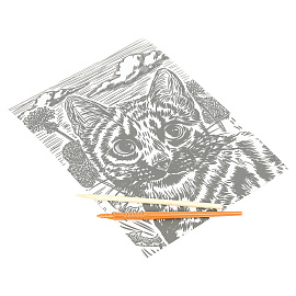 Гравюра, 18х24 см, АССОРТИ, МУЛЬТИ АРТ