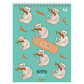 Блокнот А5 40л. на гребне BG "Такие смешные