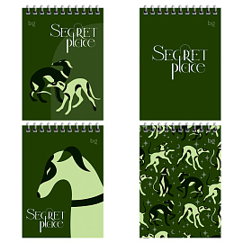 Блокнот А6 60л. на гребне BG "Secret place