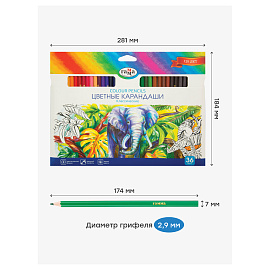 Карандаши цветные Гамма "Классические", 36цв., заточен., картон. упаковка, европодвес фото Карандаши цветные Гамма "Классические", 36цв., заточен., картон. упаковка, европодвес