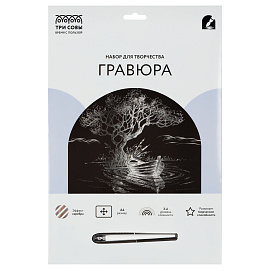 Гравюра с эффектом серебра ТРИ СОВЫ "Лодка", А4 фото Гравюра с эффектом серебра ТРИ СОВЫ "Лодка", А4