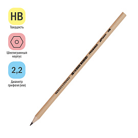 Карандаш ч/г ArtSpace "Графика" HB, заточен.