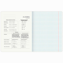 Тетради предметные, КОМПЛЕКТ 13 ПРЕДМЕТОВ, 48 л., SoftTouch, BRAUBERG "PEACEFUL", 405182
