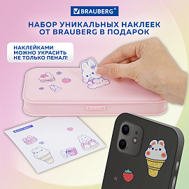 Пенал пластиковый BRAUBERG, пастельный розовый, С НАКЛЕЙКАМИ, 21х9х3 см, 272271