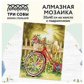 Алмазная мозаика ТРИ СОВЫ "Солнечный день", 30*40см, холст на деревянном подрамнике, картонная коробка с пластиковой ручкой