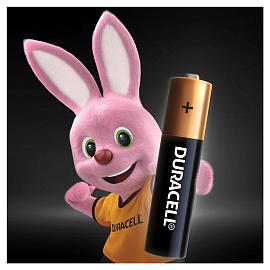 Батарейка ААА мизинчиковая Duracell Basic (4 штуки в упаковке)
