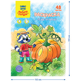 Раскраска в папке А5, 48 л. Мульти-Пульти "Сад-огород