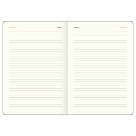 Ежедневник недатированный, А5, 160л., твердый переплет, кожзам, BG "Флаг", триколор