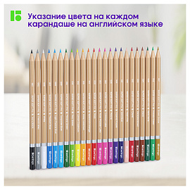 Карандаши цветные Berlingo "SuperSoft. Pro" 24цв., круглые, заточен., картон, европодвес