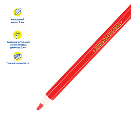 Карандаши цветные Мульти-Пульти "Енот в саванне", 06цв., утолщ., заточен., картон, европ., с точилкой