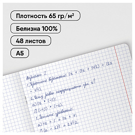 Комплект (12 шт.) предметных тетрадей 48л. BG "Скандальности", глянцевая ламинация