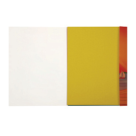 Картон цветной А4, Мульти-Пульти, 8л., 8цв., немелованный, в папке, "Приключения Енота