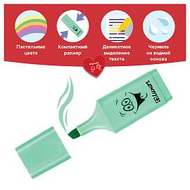 Текстовыделители Luxor "Eyeliter Pastel" пастельный зеленый, 1-4,5мм фото Текстовыделители Luxor "Eyeliter Pastel" пастельный зеленый, 1-4,5мм