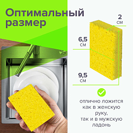 Губки для посуды 9,5х6,5х2 см, КОМПЛЕКТ 2 шт., ЦЕЛЛЮЛОЗНЫЕ (губчатые), LAIMA К1000, 601590 фото Губки для посуды 9,5х6,5х2 см, КОМПЛЕКТ 2 шт., ЦЕЛЛЮЛОЗНЫЕ (губчатые), LAIMA К1000, 601590