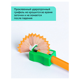 Карандаши цветные Гамма "Хобби. Лесной пейзаж", 12цв., заточен., ПВХ, европодвес