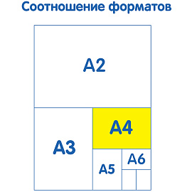Папка с ручками А4 Мульти-Пульти "Squirrel", пластик, на молнии, 75мм