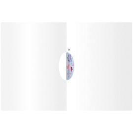 Папка с пластиковым клипом Berlingo "Capitals. Paris" А4, 450мкм, с рисунком фото Папка с пластиковым клипом Berlingo "Capitals. Paris" А4, 450мкм, с рисунком