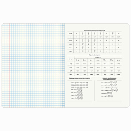 Тетради предметные, КОМПЛЕКТ 13 ПРЕДМЕТОВ, 48 л., SoftTouch, BRAUBERG "PEACEFUL", 405182