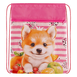 Мешок для обуви 1 отделение ArtSpace "Cute animals", 340*420мм, карман