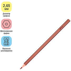 Карандаши цветные пластиковые ArtSpace "Подводный мир", 12цв., заточен., картон, европодвес