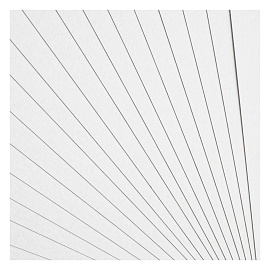 Картон белый А4, Мульти-Пульти, 20л., мелованный, в папке, "Приключения Енота