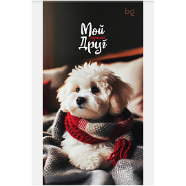 Блокнот А6 48л. на скрепке BG "Микс. Животные