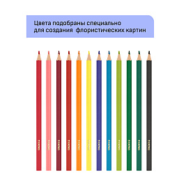 Карандаши цветные Гамма "Хобби. Флористика", 12цв., заточен., ПВХ, европодвес фото Карандаши цветные Гамма "Хобби. Флористика", 12цв., заточен., ПВХ, европодвес