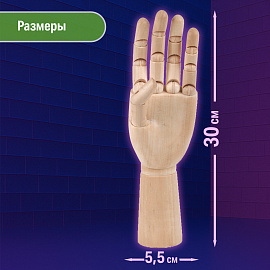 Манекен художественный BRAUBERG ART CLASSIC "РУКА", высота 30 см., мужская левая, дерево, 191296