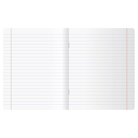 Тетрадь предметная 48л. BG "Непотопляемая" - Литература, матовая ламинация, выб. лак, конгрев