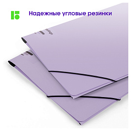 Папка на резинке Berlingo "Instinct" А4, пластик, 600мкм, лаванда