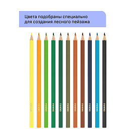 Карандаши цветные Гамма "Хобби. Лесной пейзаж", 12цв., заточен., ПВХ, европодвес
